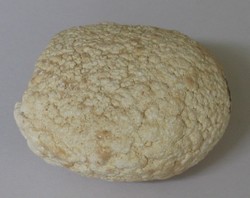 galsteen
