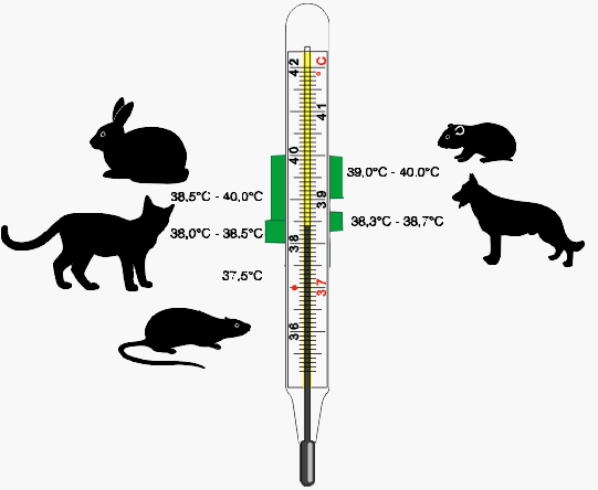 temperatuur